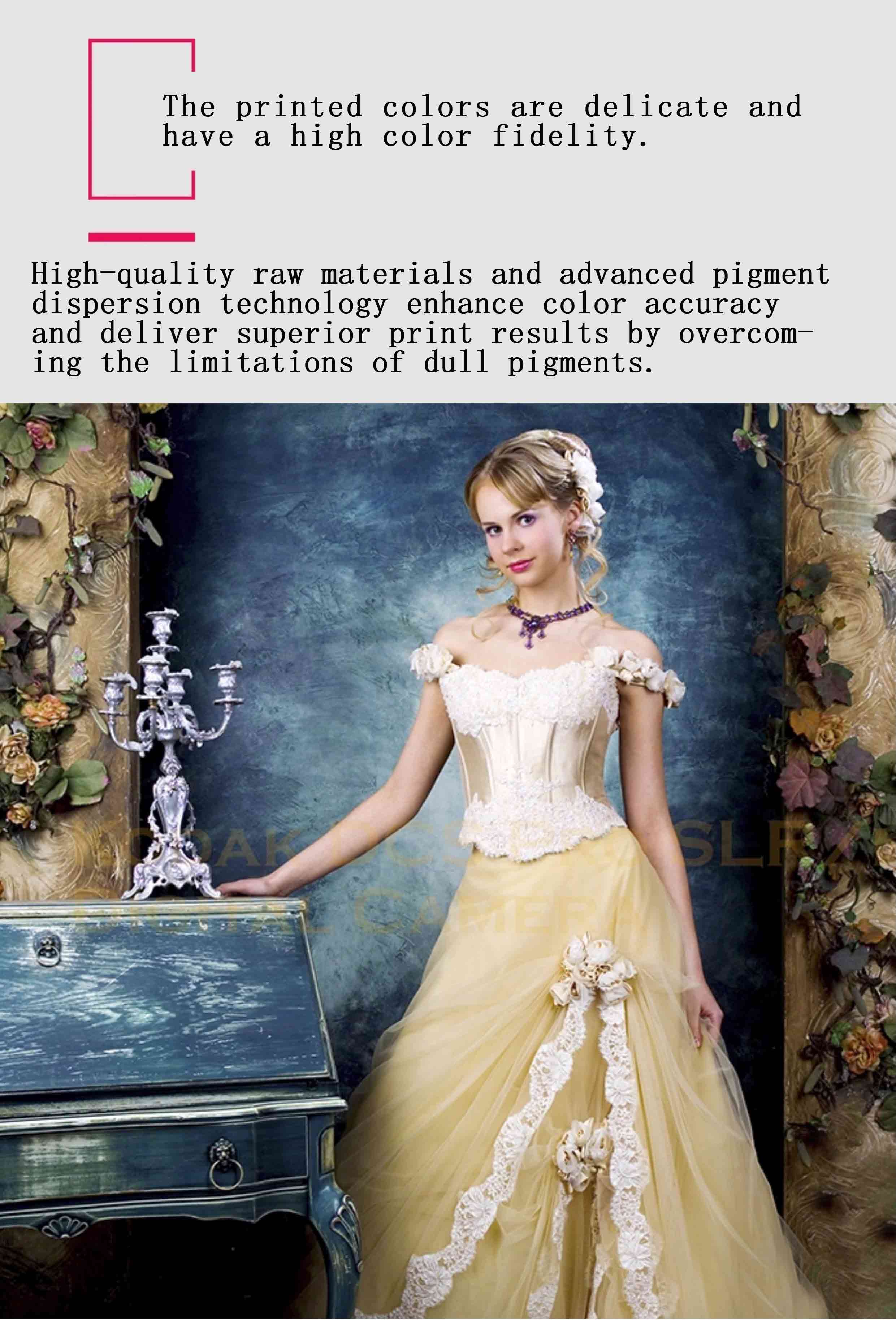 pigment ink 4